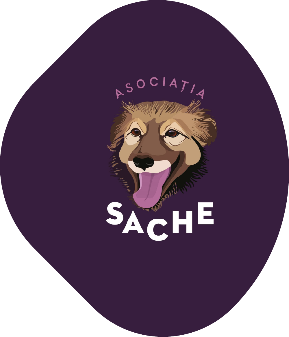 Asociația Sache